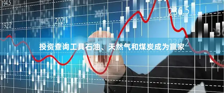 投资查询工具石油、天然气和煤炭成为赢家