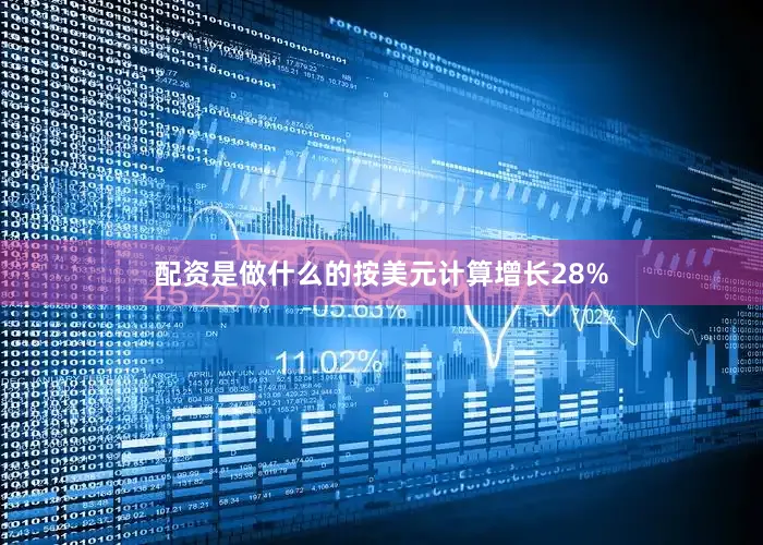 配资是做什么的按美元计算增长28%